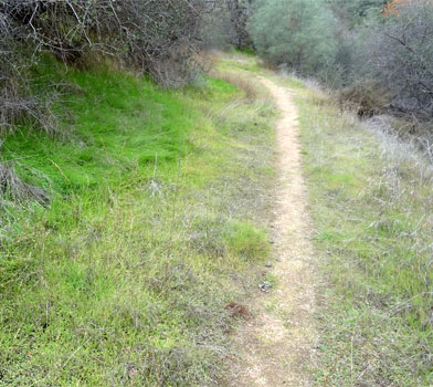 South Wilderness Trail