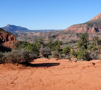 Watchman Trail, Zion National Park