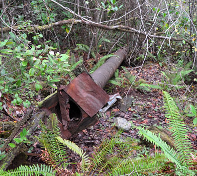 Myrtle Creek Mining Ditch