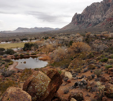 Overlook Trail