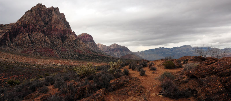 Overlook Trail