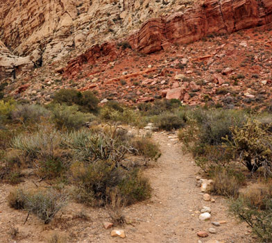 Sandstone Canyon Overlook Trail