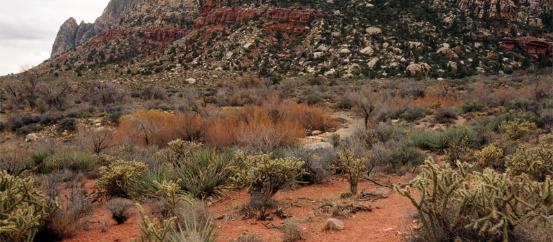 Sandstone Canyon Overlook Trail