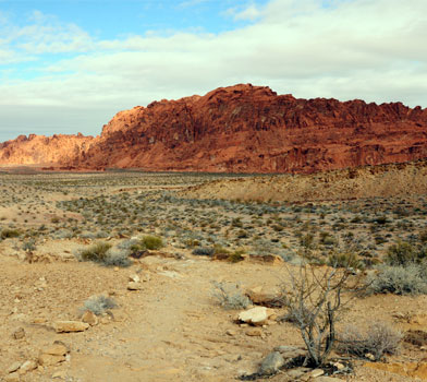 Petrified Logs Trail