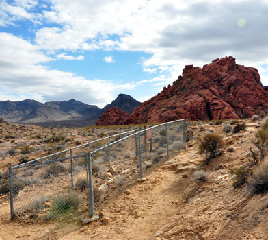 Petrified Logs Trail