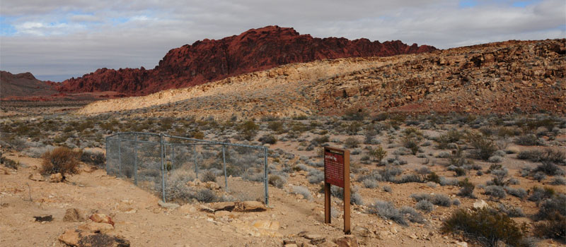 Petrified Logs Trail