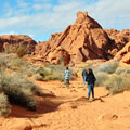 Petroglyph Canyon Trail