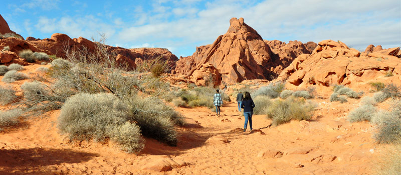 Petroglyph Canyon Trail