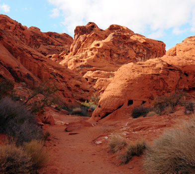 Petroglyph Canyon Trail