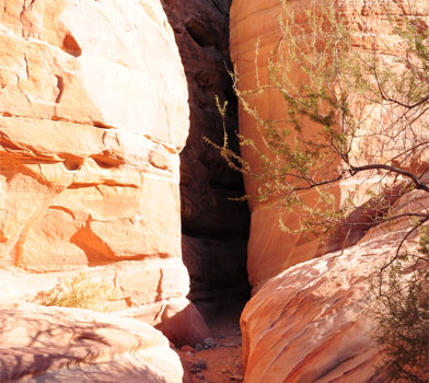 White Domes Trail